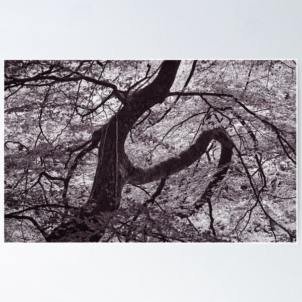 Item preview, The Structure of Trees 16 designed and sold by ShinyPhoto.
