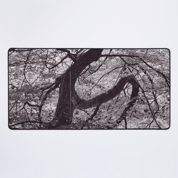 Item preview, The Structure of Trees 16 designed and sold by ShinyPhoto.