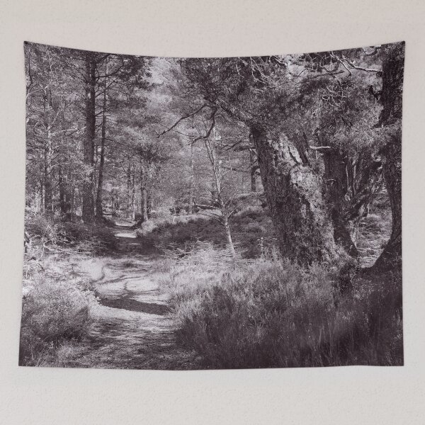 Item preview, The Structure of Trees 18 designed and sold by ShinyPhoto.