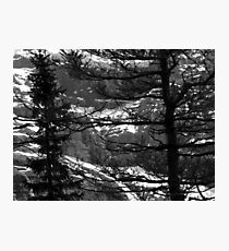 Jungfrau Photographic Print