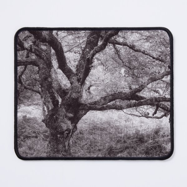 Item preview, The Structure of Trees 19 designed and sold by ShinyPhoto.