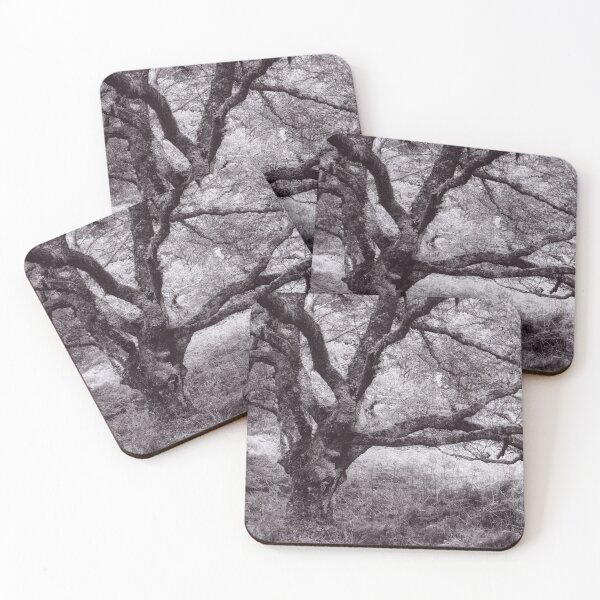 Item preview, The Structure of Trees 19 designed and sold by ShinyPhoto.