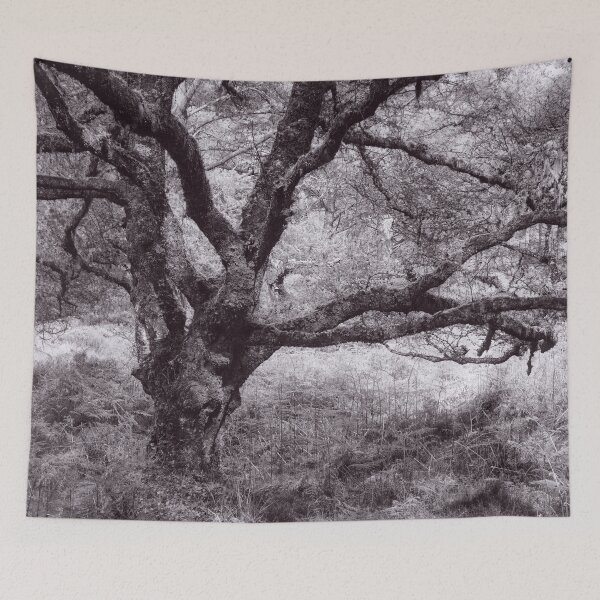 Item preview, The Structure of Trees 19 designed and sold by ShinyPhoto.