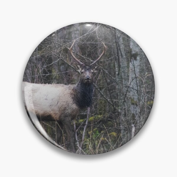 Item preview, Staring Contest - Wilderness Edition designed and sold by kelseyruiz.