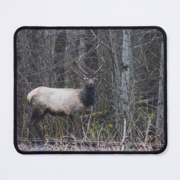 Item preview, Staring Contest - Wilderness Edition designed and sold by kelseyruiz.