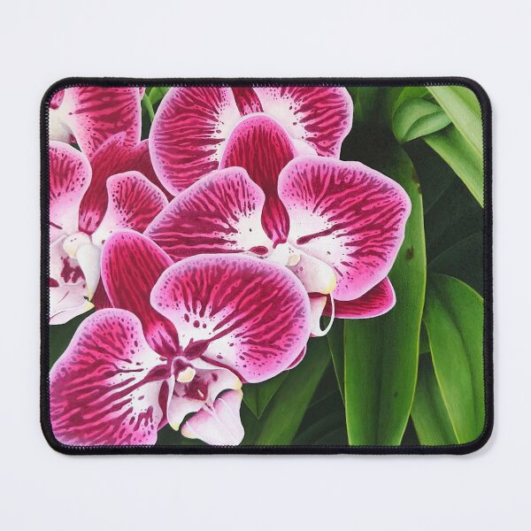 Item preview, Pink and White Orchids with Green Foliage - Elegant and Floral Illustration designed and sold by Ambiance Sauvage.
