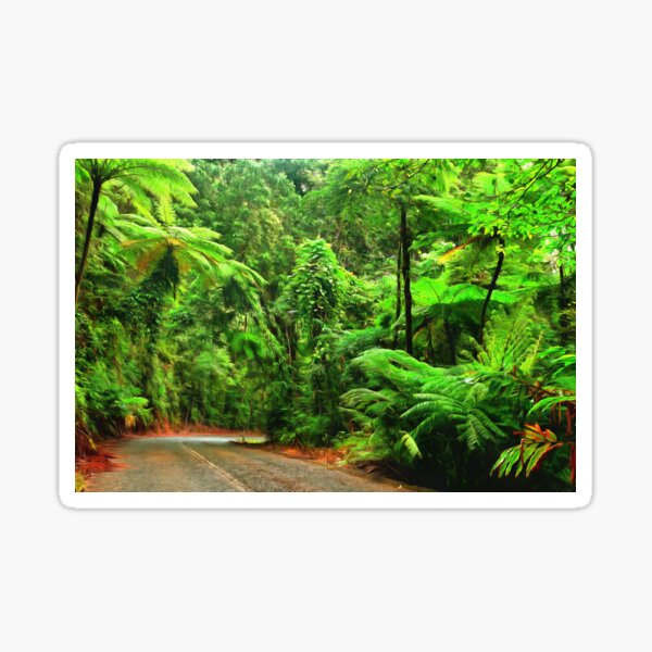 Item preview, wilderness designed and sold by OzCamera.