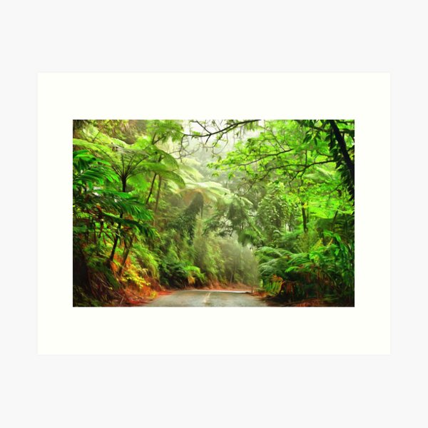 Item preview, wilderness designed and sold by OzCamera.