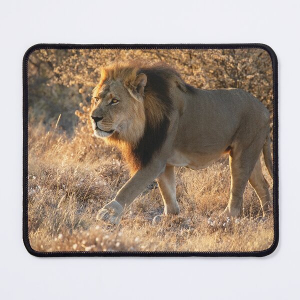 Item preview, The King Stalks Regally designed and sold by Kay Brewer.