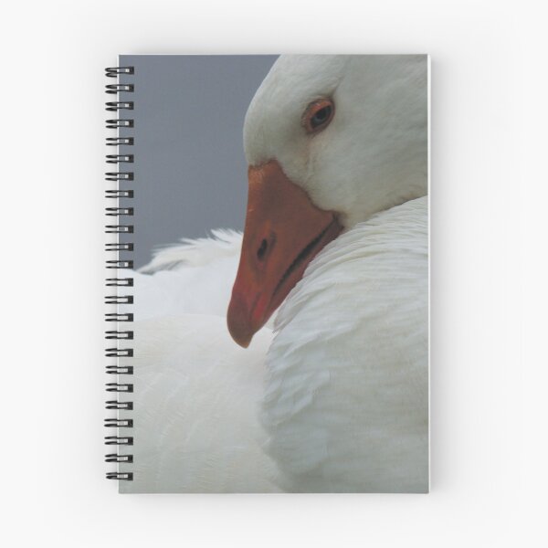 Item preview, preening goose designed and sold by buttercreambear.
