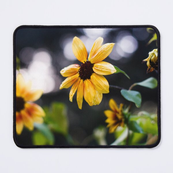 Item preview, Growing Sunflowers After Rain designed and sold by PhotoArtbyGrace.