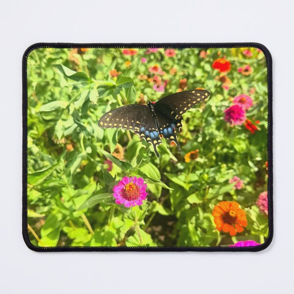 Item preview, Spicebush Swallowtail Zinnia Garden  designed and sold by kmsnyder.