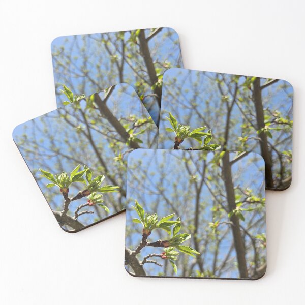Item preview, Early Spring Leaves and Branches designed and sold by Quincy-Hedgehog.