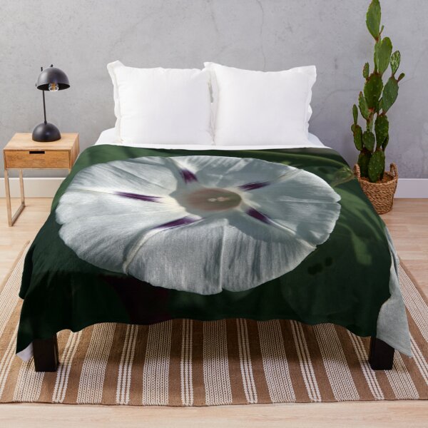 Item preview, White and Blue Morning Glory designed and sold by gistinker.