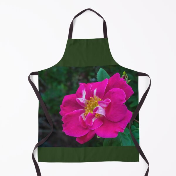 Item preview, Closeup of a Gorgeous, Bright, Pink Shrub Rose, Rosa, in the Springtime designed and sold by LINDA MCKUSICK.