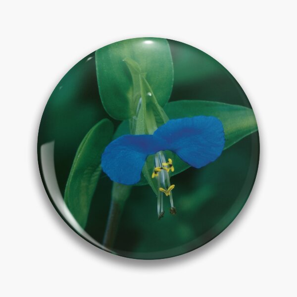Item preview, Asiatic Dayflower designed and sold by gistinker.