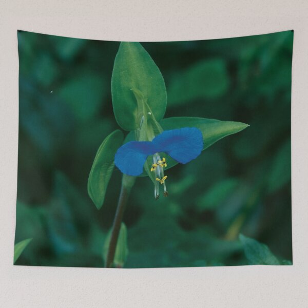Item preview, Asiatic Dayflower designed and sold by gistinker.
