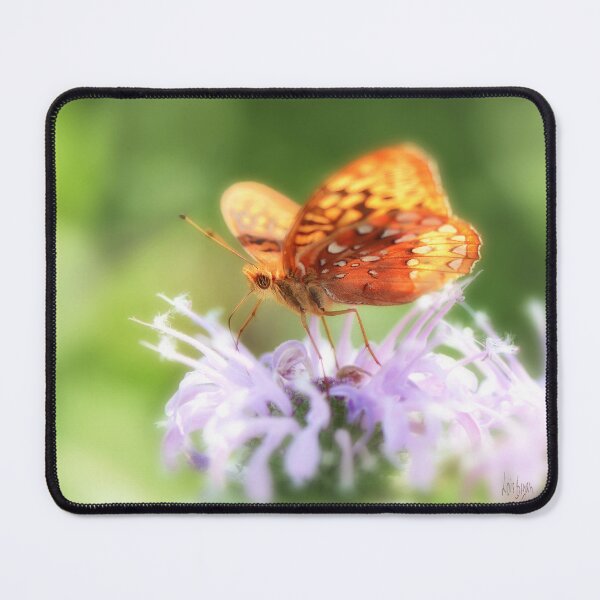 Item preview, The Great Spangled Fritillary designed and sold by Lois  Bryan.