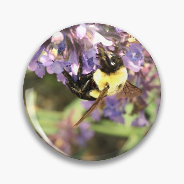 Artikelvorschau, Bienen und Blumen entworfen und verkauft von AlbertMyra7.