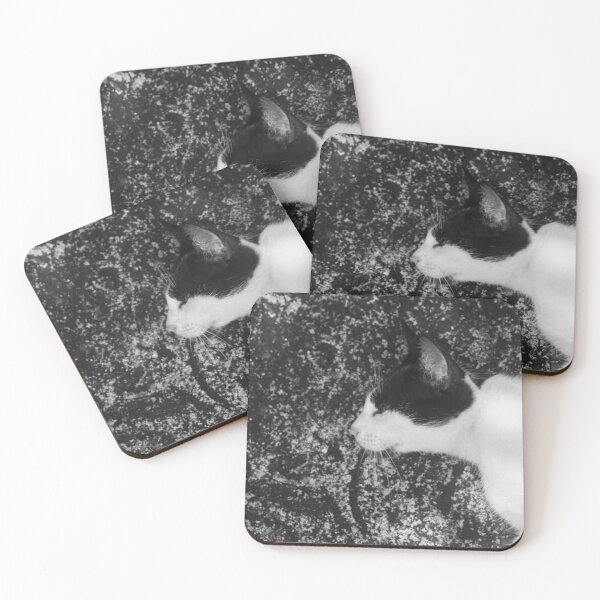 Item preview, B&W - Cat Lying Down on Ground designed and sold by ROSE ANN BANILAR.