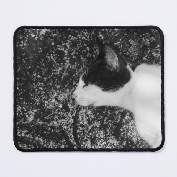 Item preview, B&W - Cat Lying Down on Ground designed and sold by ROSE ANN BANILAR.