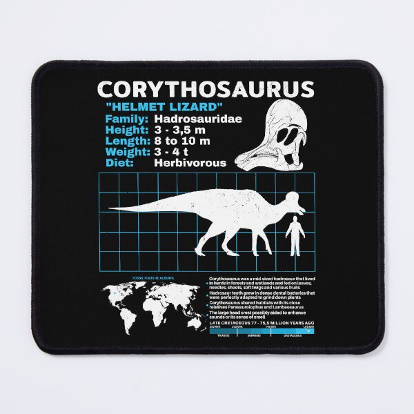 Item preview, Corythosaurus Fact Sheet designed and sold by NicGrayGraphic.