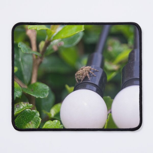 Item preview, jumping spider designed and sold by ROSE ANN BANILAR.