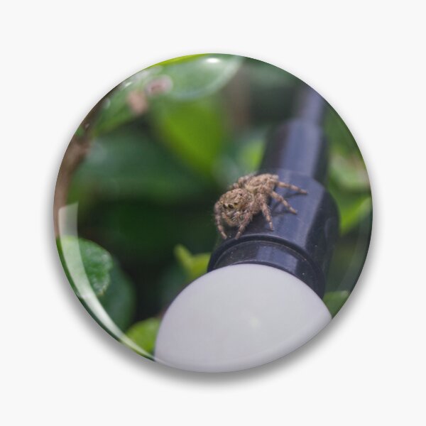 Item preview, jumping spider designed and sold by ROSE ANN BANILAR.
