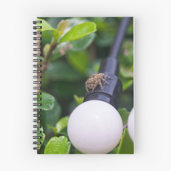 Item preview, jumping spider designed and sold by ROSE ANN BANILAR.