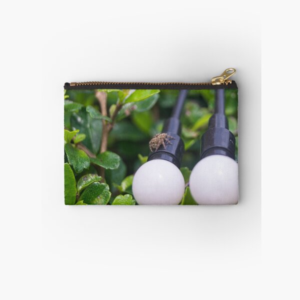 Item preview, jumping spider designed and sold by ROSE ANN BANILAR.