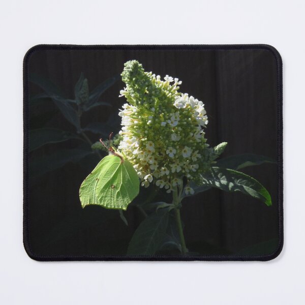 Item preview, Brimstone Butterfly & White Buddleia designed and sold by wiggyofipswich.