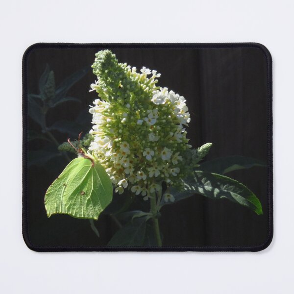 Item preview, Brimstone Butterfly & White Buddleia designed and sold by wiggyofipswich.