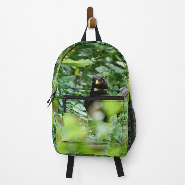 Item preview, In the grass jungle. Eurasian blackbird designed and sold by Jouko Lehto Photography.