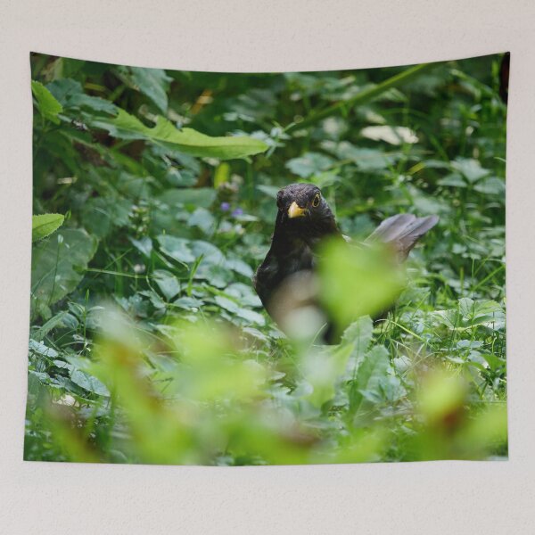 Item preview, In the grass jungle. Eurasian blackbird designed and sold by Jouko Lehto Photography.