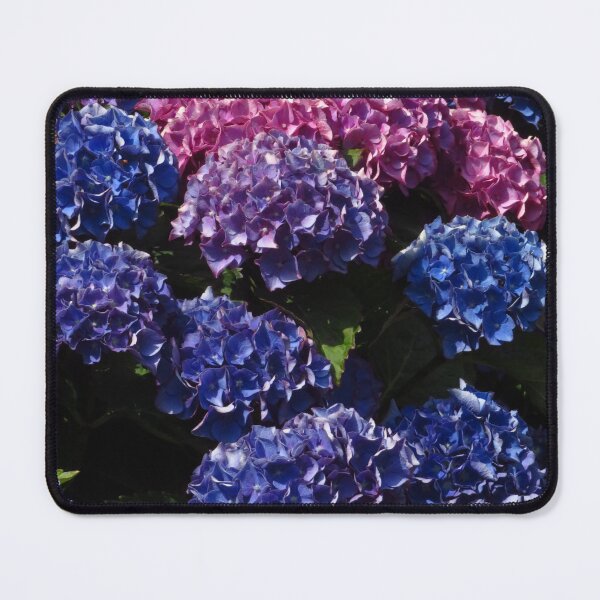 Item preview, Pink, Purple & Blue Hydrangea designed and sold by wiggyofipswich.