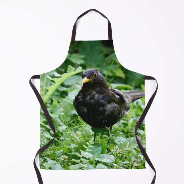 Item preview, Grey from stress of the kids. Eurasian blackbird designed and sold by Jouko Lehto Photography.