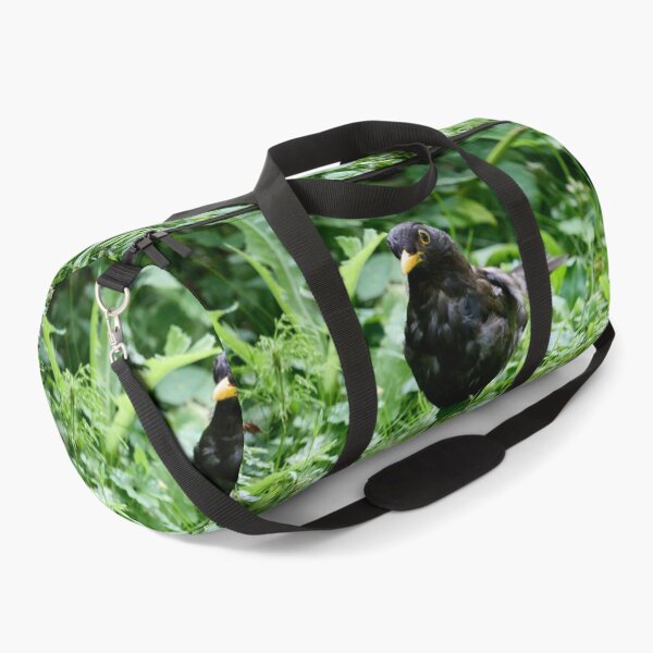 Item preview, Grey from stress of the kids. Eurasian blackbird designed and sold by Jouko Lehto Photography.