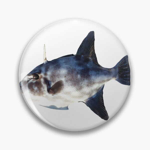 Item preview, No.029 - Ocean Triggerfish (Canthidermis sufflamen) | Caught in Cozumel, Mexico designed and sold by taichi69nz.