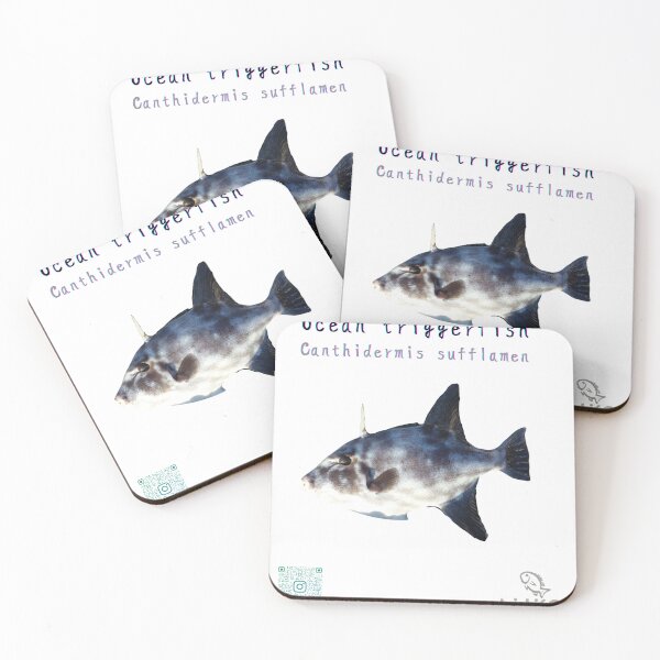 Item preview, No.029 - Ocean Triggerfish (Canthidermis sufflamen) | Caught in Cozumel, Mexico designed and sold by taichi69nz.