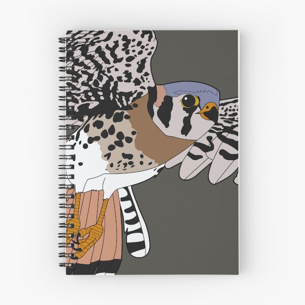 Item preview, American kestrel designed and sold by Procyonidae Creative.