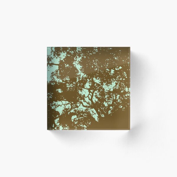 Forest 2 Acrylic Block