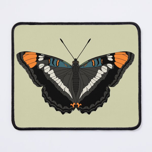 Item preview, Arizona Sister (Adelpha eulalia) designed and sold by Procyonidae Creative.