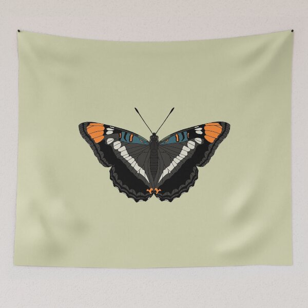 Item preview, Arizona Sister (Adelpha eulalia) designed and sold by Procyonidae Creative.