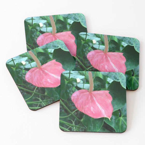 Item preview, Flamingo Flower designed and sold by Aesθetic Designs.