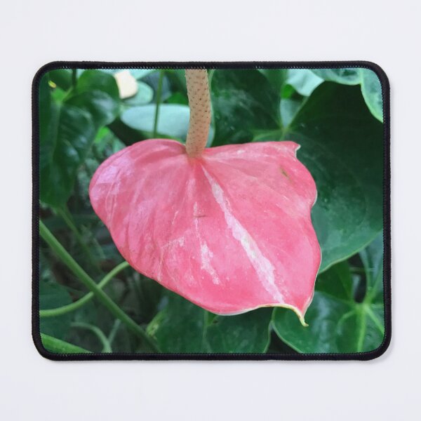 Item preview, Flamingo Flower designed and sold by Aesθetic Designs.