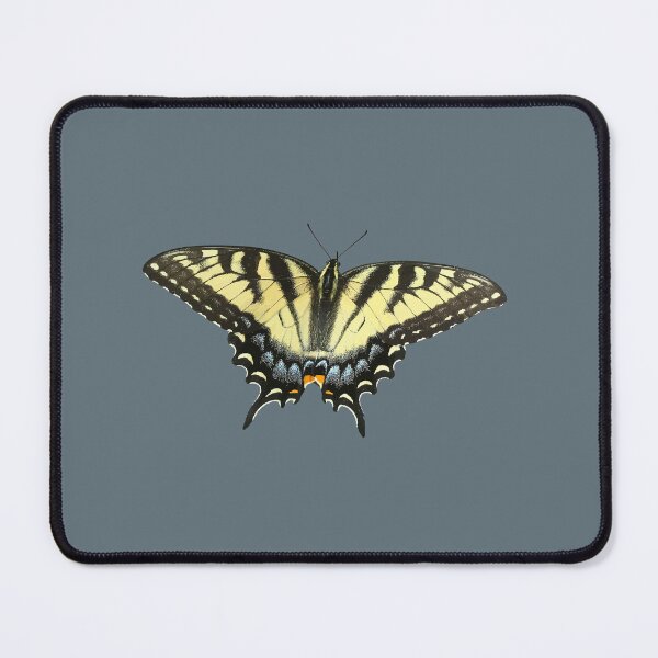Item preview, Eastern Tiger Swallowtail Vector Art Illustration designed and sold by taiche.
