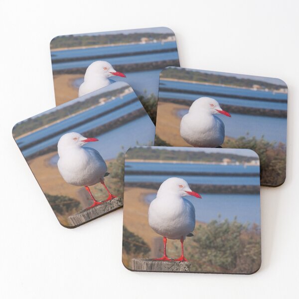 Item preview, Master of Flight - Adult Silver Gull  designed and sold by Paul Gilbert.