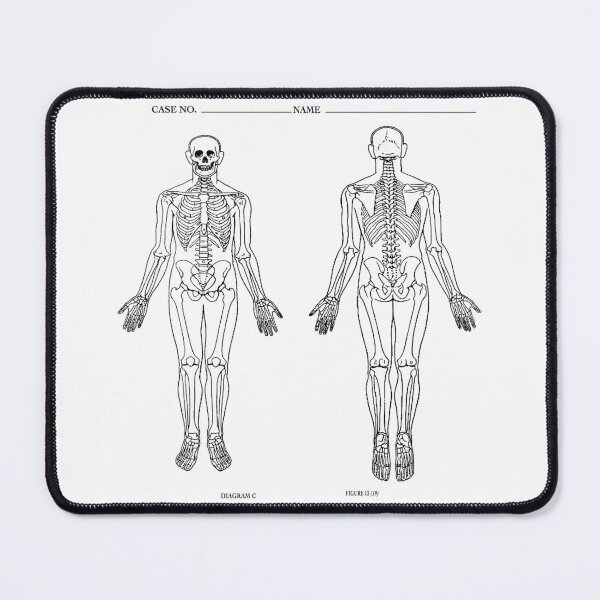 Item preview, Blank Autopsy Diagram, Skeleton, anterior and posterior designed and sold by TheRDA.