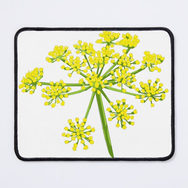 Item preview, Botanical Vector Illustration of Fresh Green Dill Plant designed and sold by jayson salvador.