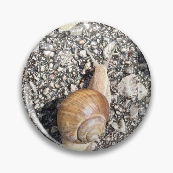 Item preview, Snail designed and sold by DjeriK.
